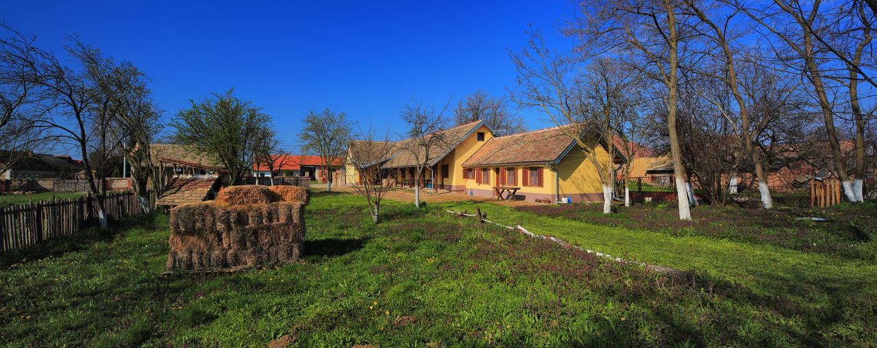 Bed and Breakfast Sobe Kod Baje - Baranjska Kuca Karanac Exterior foto