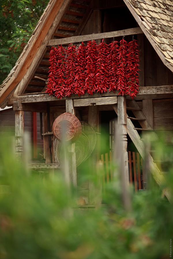 Bed and Breakfast Sobe Kod Baje - Baranjska Kuca Karanac Exterior foto